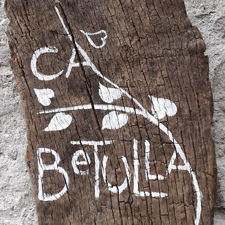 Ca Betulla Villa Novate Mezzola Eksteriør bilde
