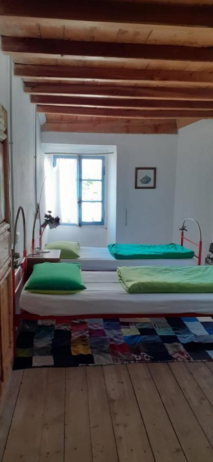Ca Betulla Villa Novate Mezzola Eksteriør bilde