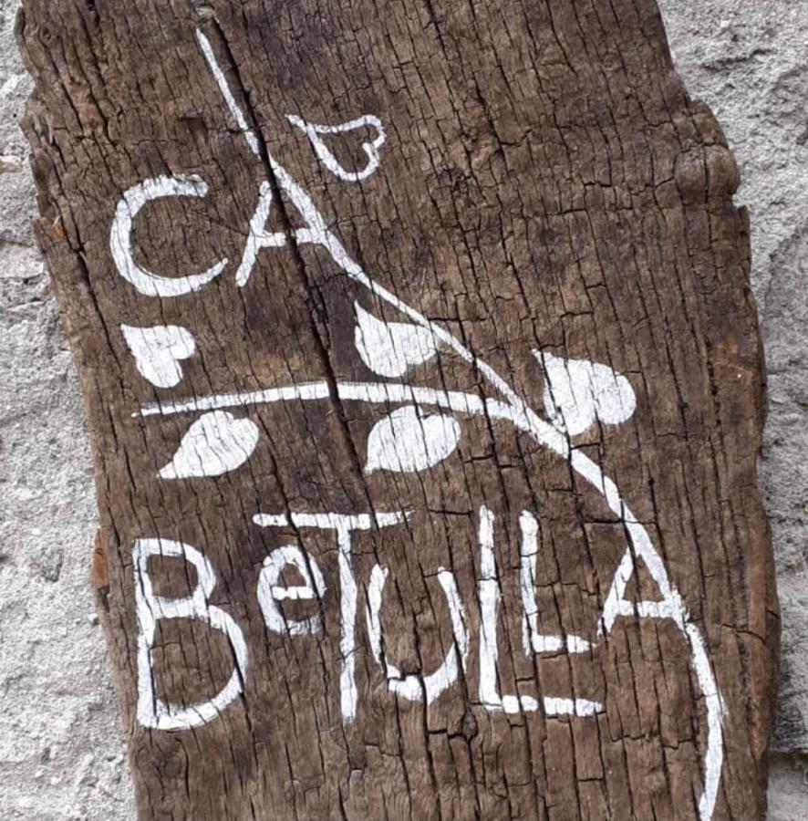 Ca Betulla Villa Novate Mezzola Eksteriør bilde